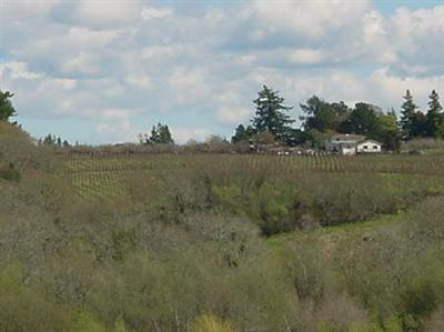 8090 Pillow Road Sebastopol, CA 95472 - Photo 10 of 10 a view of a lake and mountain in the back