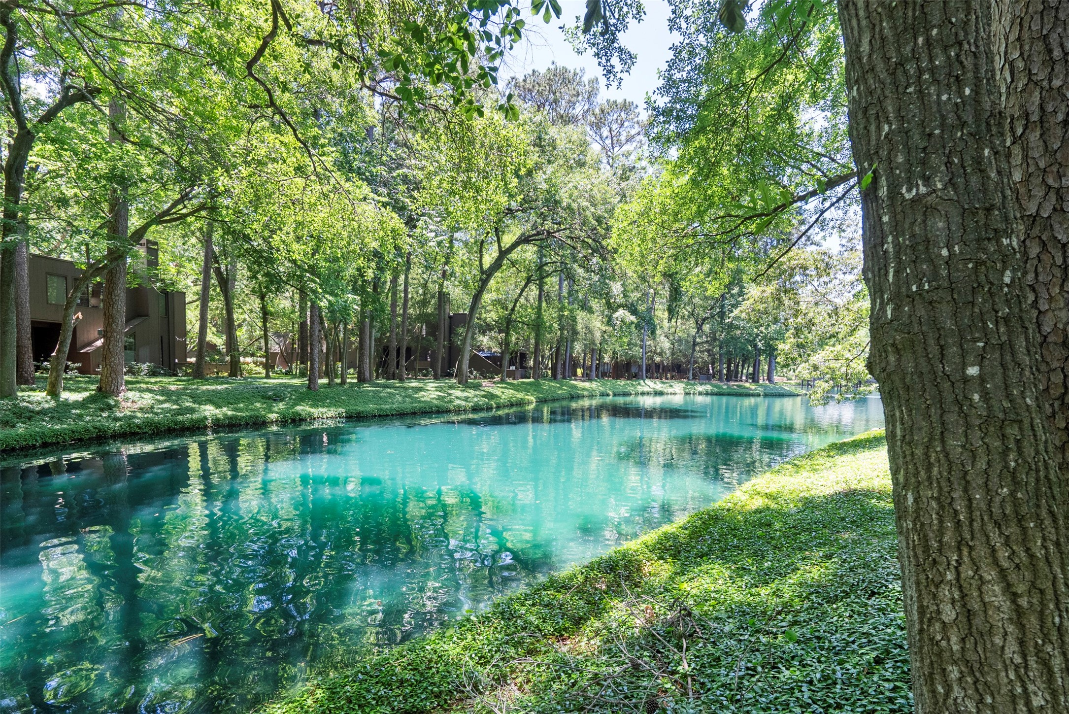 161 Litchfield Lane Houston, TX 77024 - Photo 24 of 30 a view of a lake with a yard and large trees