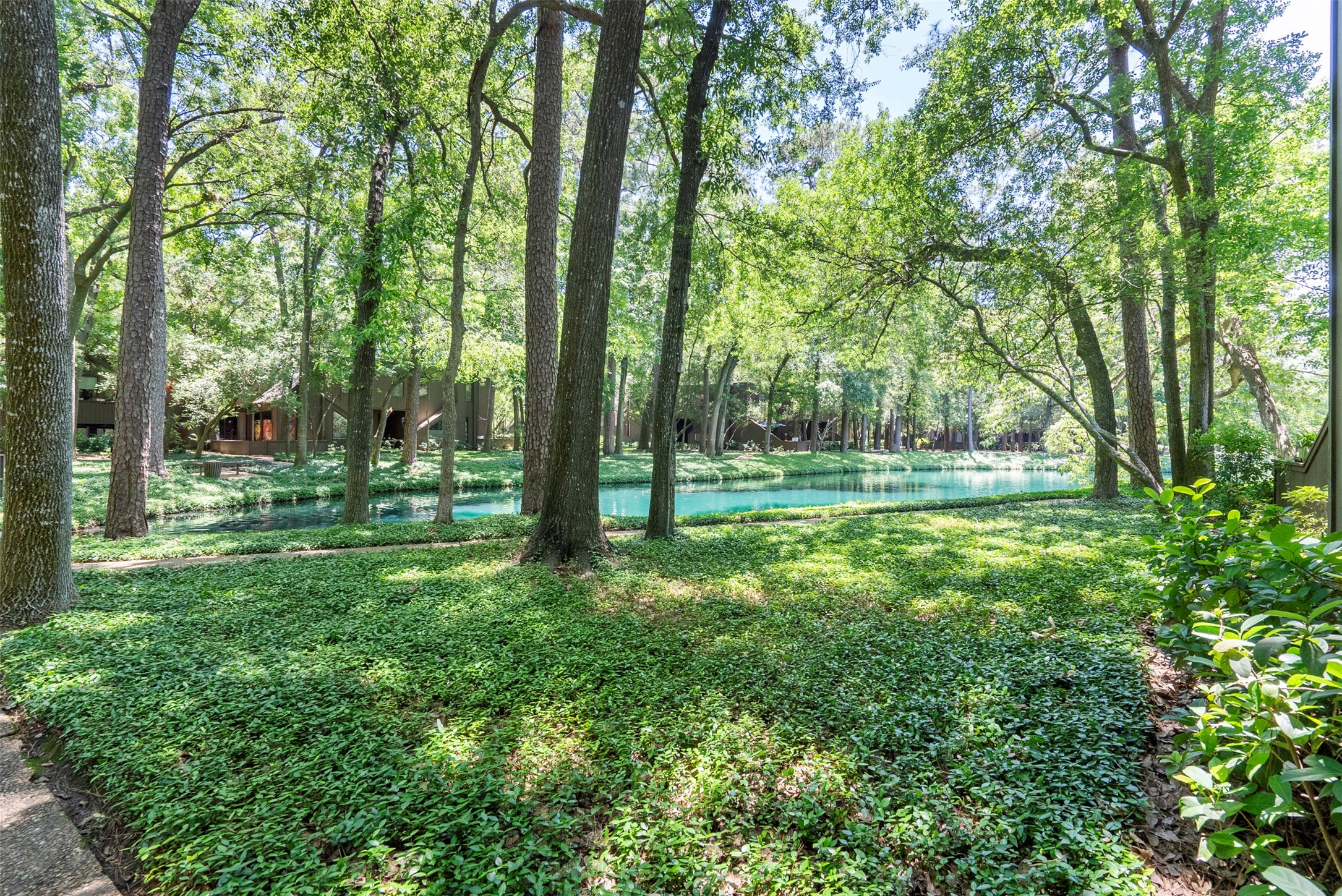 161 Litchfield Lane Houston, TX 77024 - Photo 29 of 30 a view of outdoor space with a garden and trees