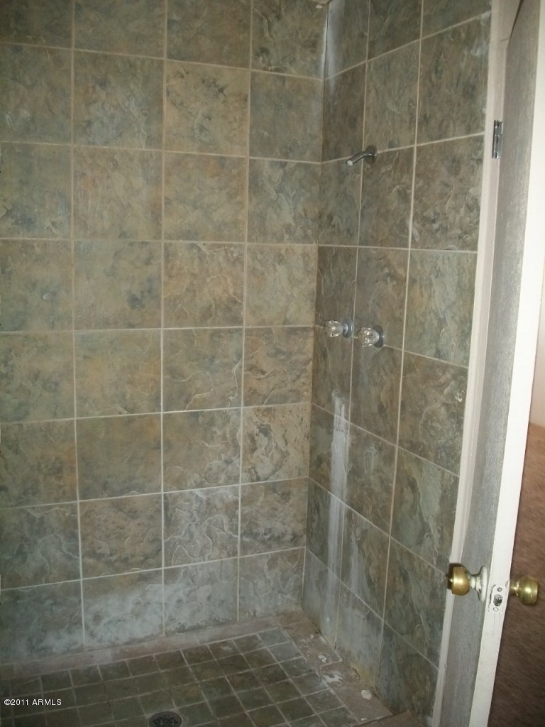 901 East Darrel Road Phoenix, AZ 85042 - Photo 6 of 12 MASTER BATH