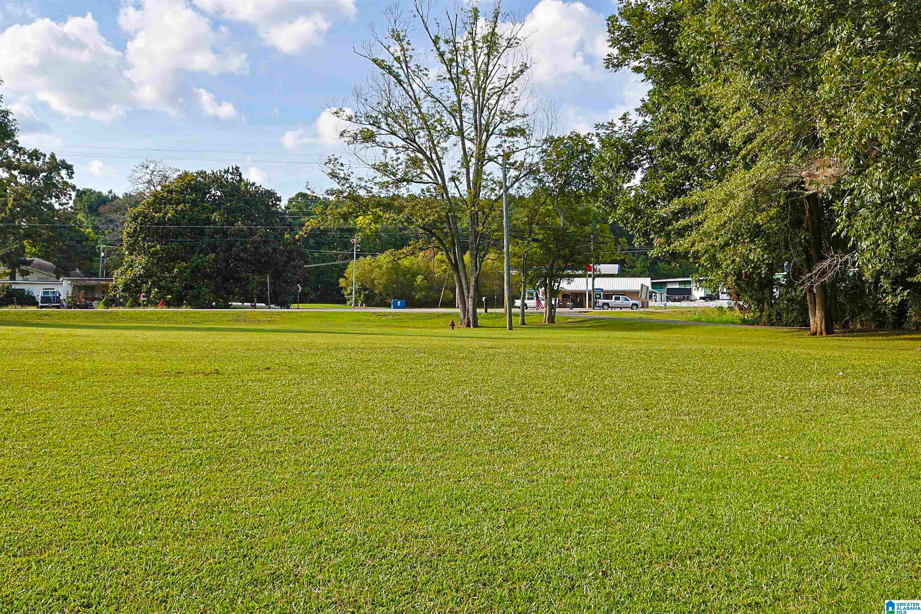 5149 Green Valley Road Southside, AL 35907 - Photo 45 of 74 Gallery Image 45