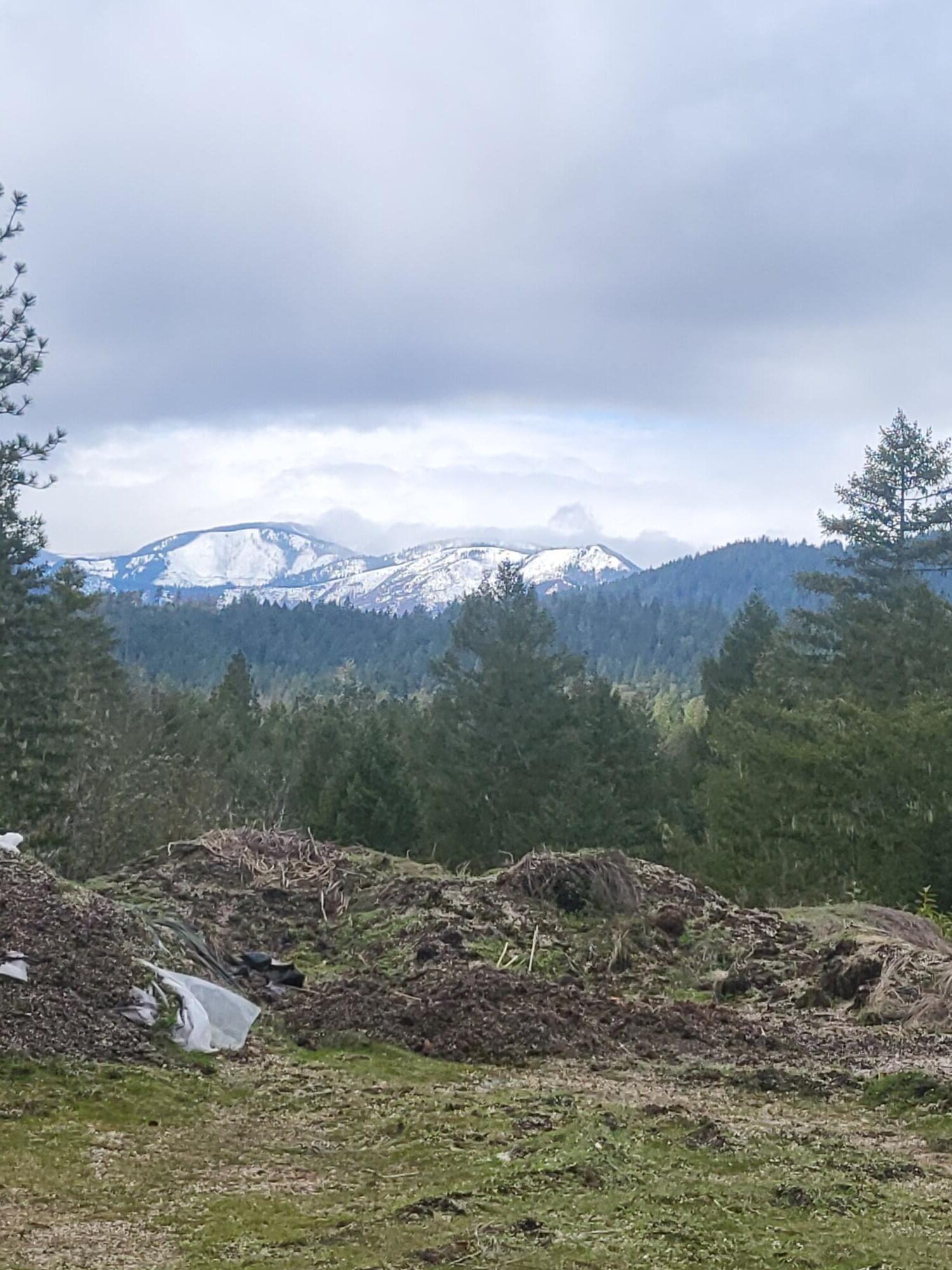 962 Indian Creek Road Selma, OR 97538 - Photo 30 of 42 Southern view from new building site