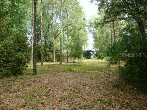Powell Rd Road Brooksville, FL 34604 - Photo 1 of 1 Land