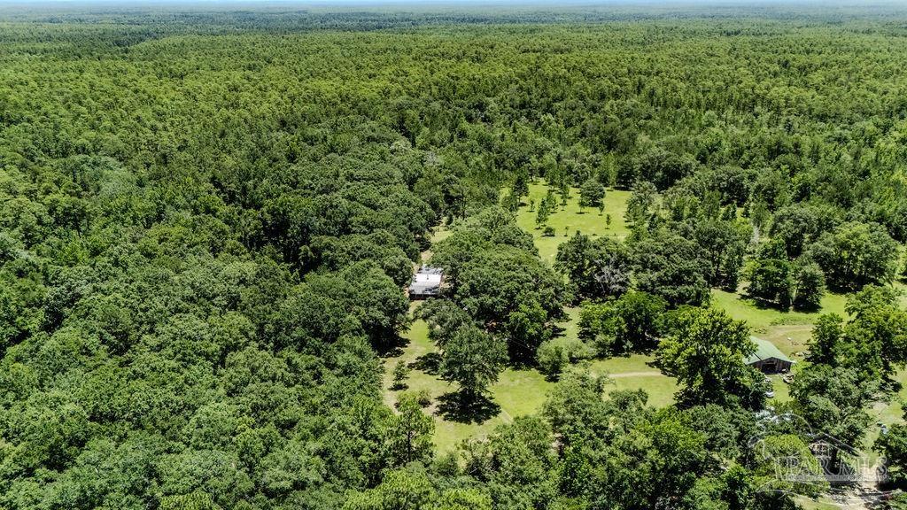 4156 James Jernigan Road Jay, FL 32565 - Photo 21 of 36