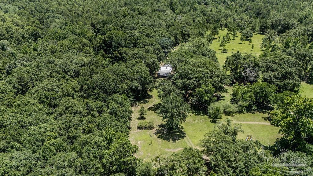 4156 James Jernigan Road Jay, FL 32565 - Photo 24 of 36