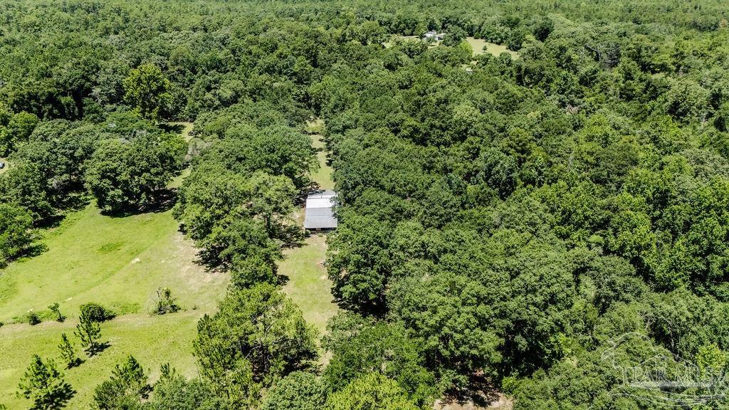 4156 James Jernigan Road Jay, FL 32565 - Photo 28 of 36