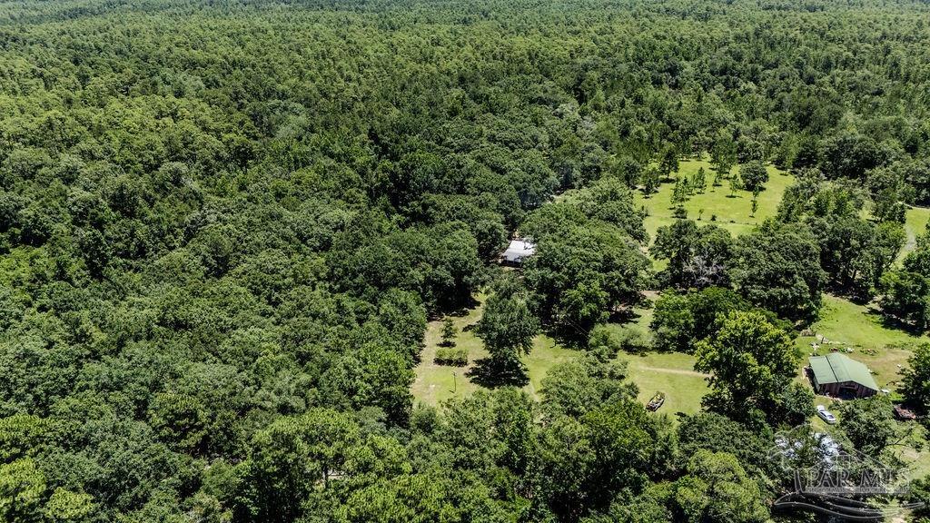 4156 James Jernigan Road Jay, FL 32565 - Photo 29 of 36