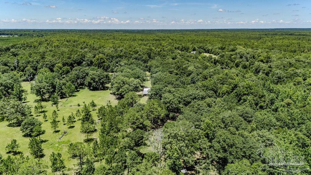 4156 James Jernigan Road Jay, FL 32565 - Photo 30 of 36