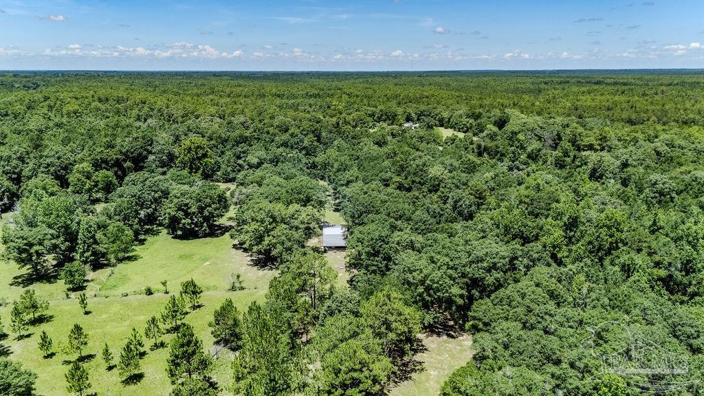 4156 James Jernigan Road Jay, FL 32565 - Photo 33 of 36