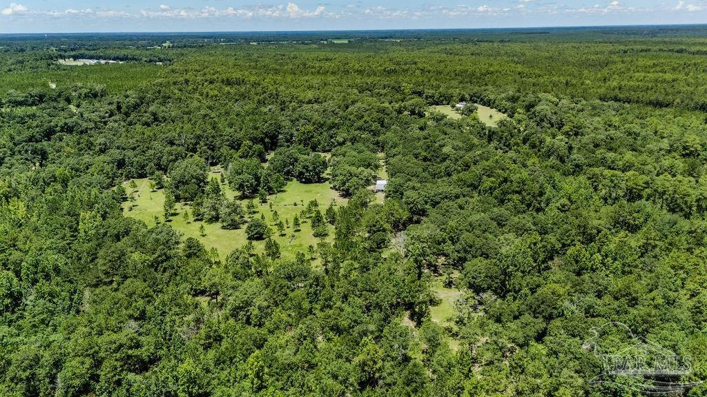 4156 James Jernigan Road Jay, FL 32565 - Photo 34 of 36