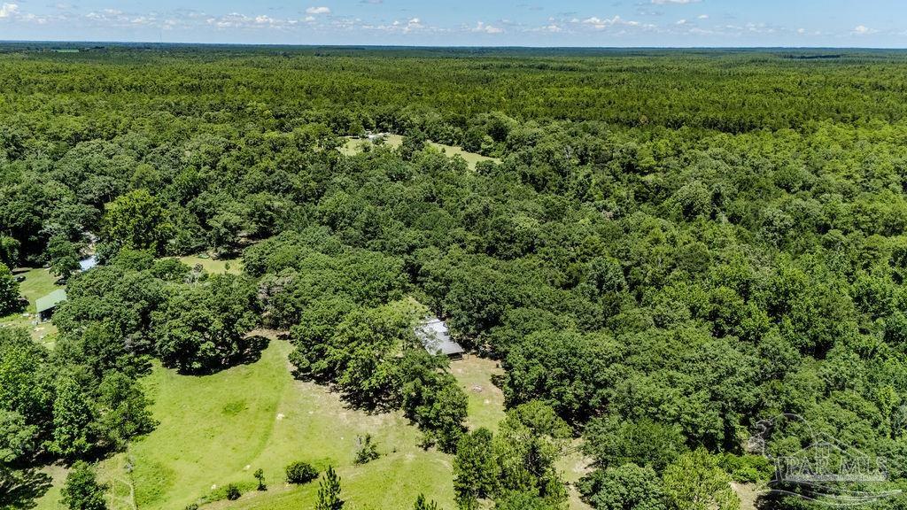 4156 James Jernigan Road Jay, FL 32565 - Photo 35 of 36