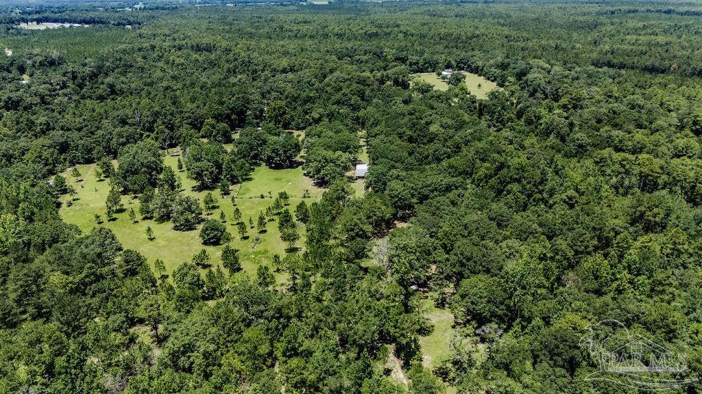 4156 James Jernigan Road Jay, FL 32565 - Photo 6 of 36