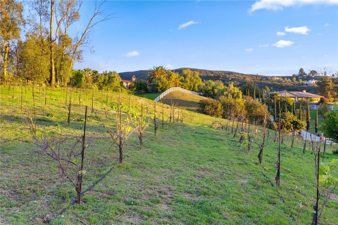 40465 Parado Del Sol Drive Temecula, CA 92592 - Photo 67 of 76