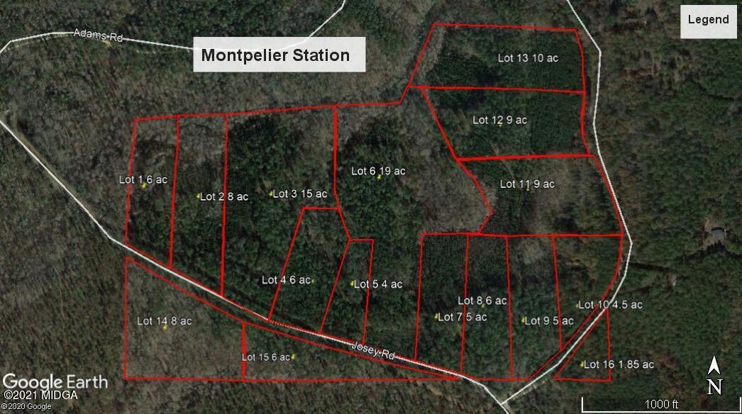 0 Montpelier Springs Road, Unit 13 Forsyth, GA 31029 - Photo 10 of 13 Montpelier Station aerial