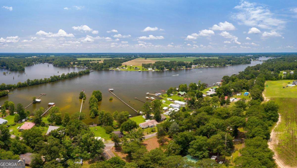 184 Swift Creek Road Cordele, GA 31015 - Photo 1 of 1 a view of a lake in middle of the town