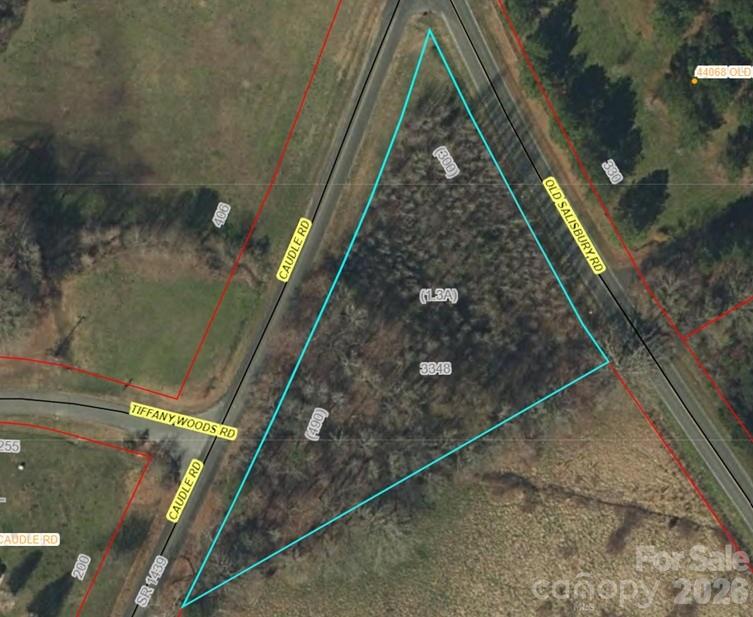 0 Old Salisbury Road Richfield, NC 28137 - Photo 1 of 1