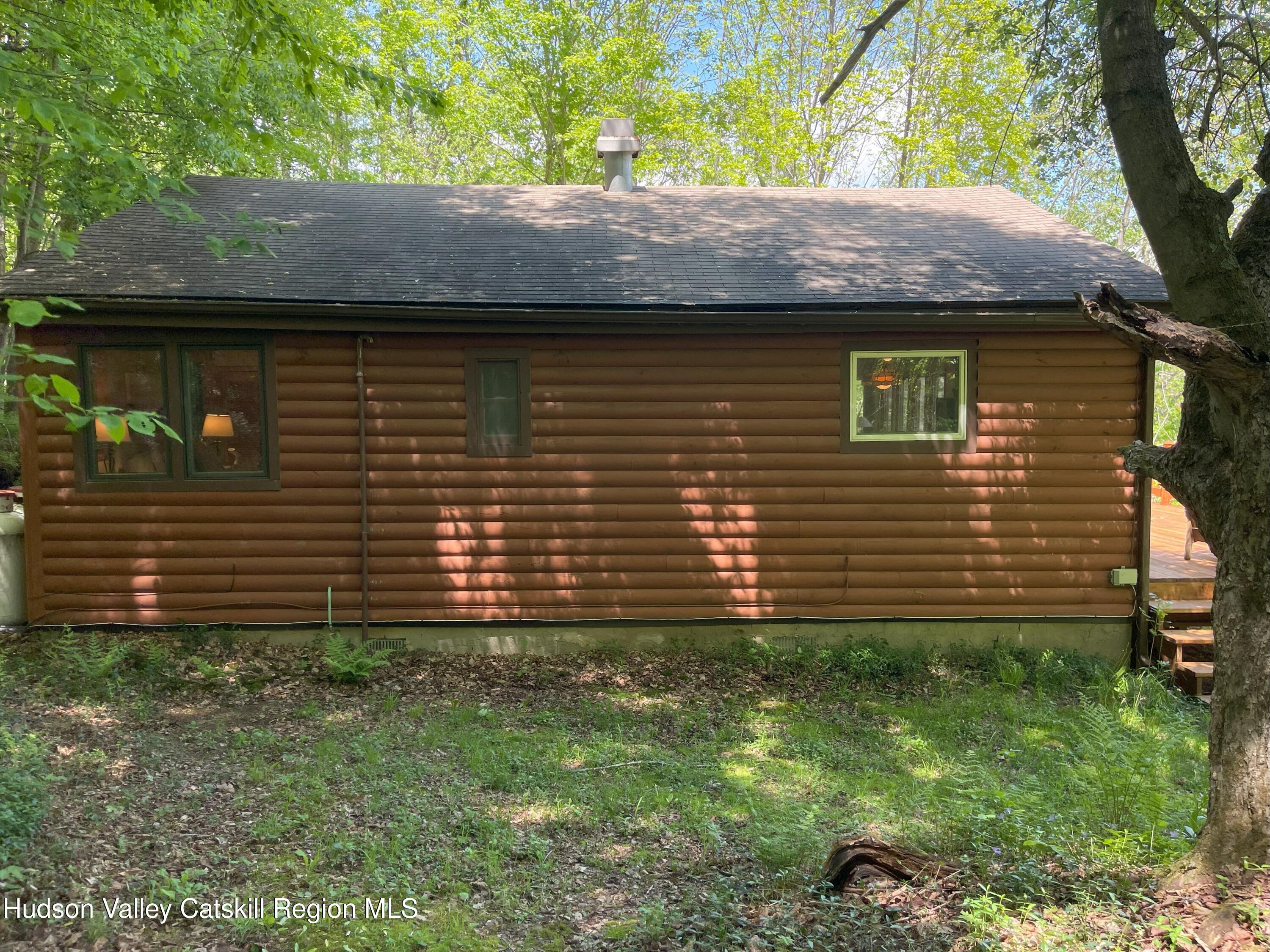 1011 West Settlement Road Roxbury, NY 12474 - Photo 20 of 32 14IMG_0567. houe rear level