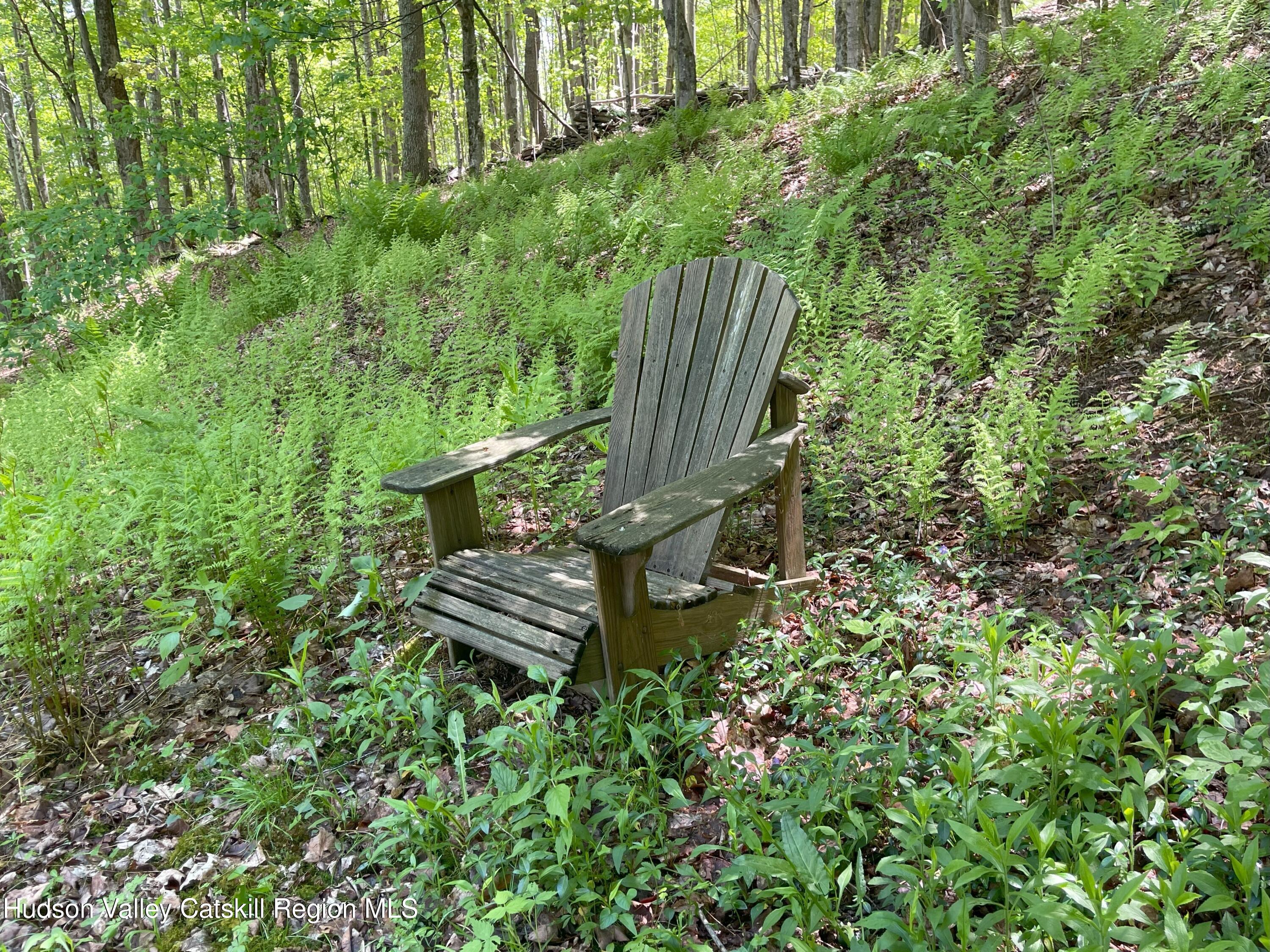 1011 West Settlement Road Roxbury, NY 12474 - Photo 2 of 32 2IMG_0565. Ad Chair w. ferns