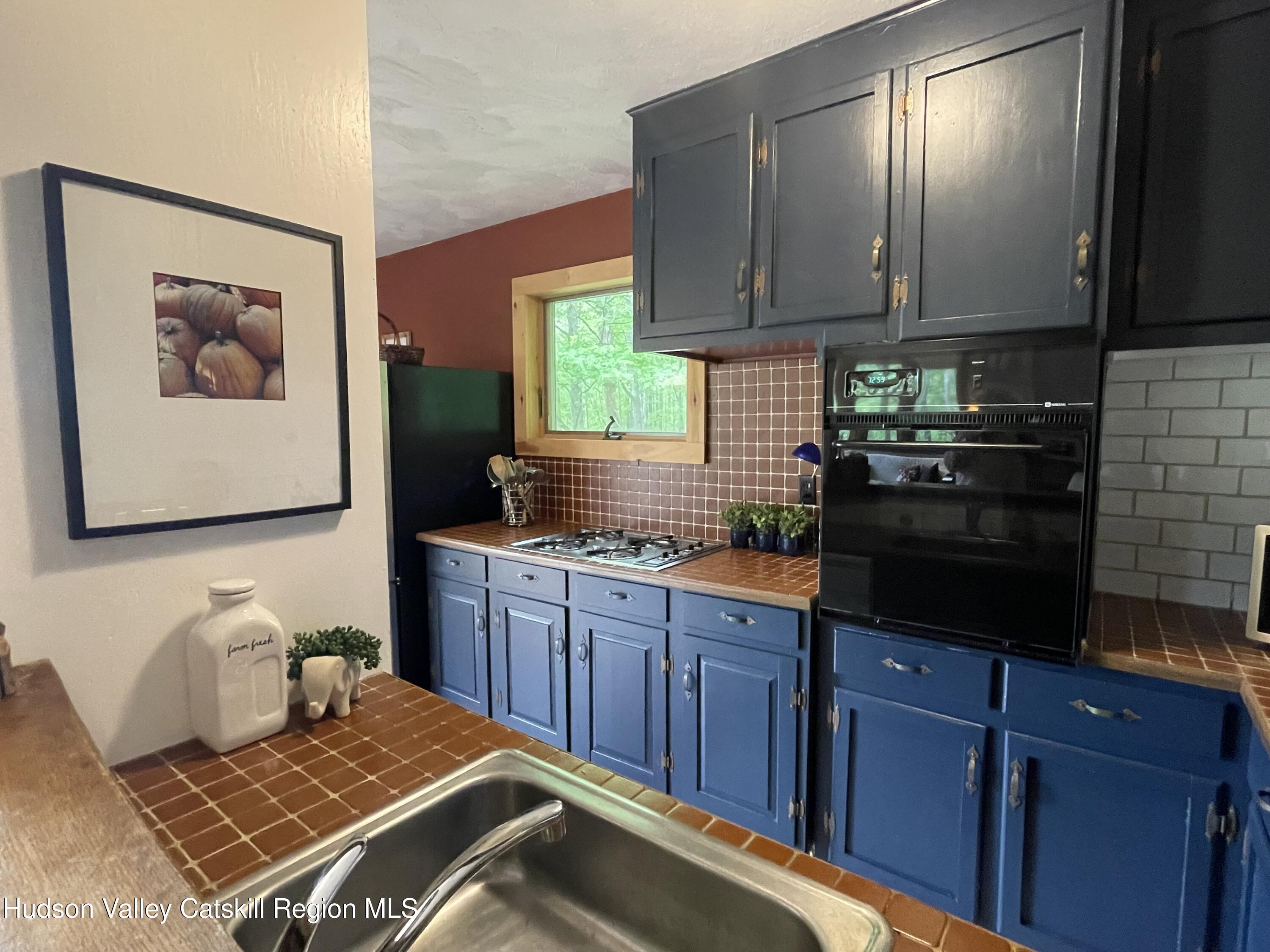 1011 West Settlement Road Roxbury, NY 12474 - Photo 29 of 32 IMG_0660 kitchen over counter