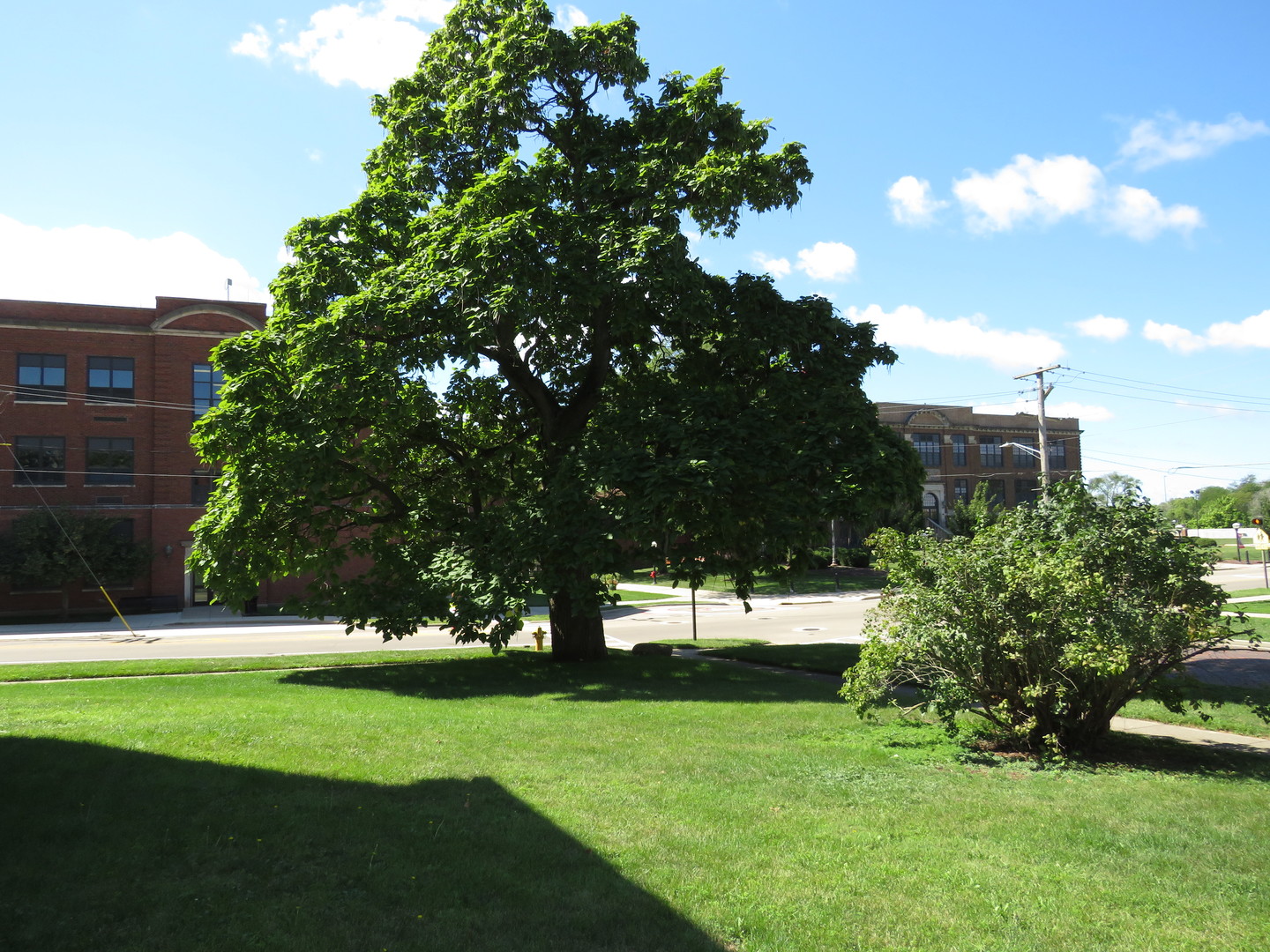 306 East Main Street, Unit B Ottawa, IL 61350 - Photo 7 of 15 a view of a park