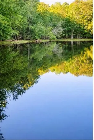 $750,000 | 0 Malone Road, Fayetteville, GA 30215