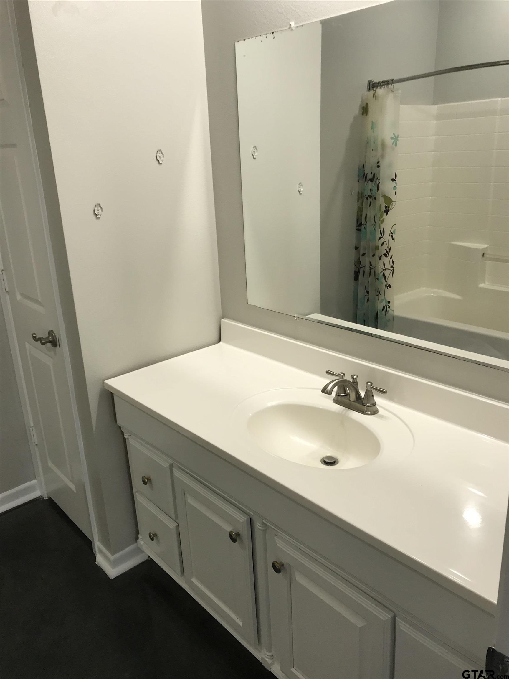 19040 FM 2493 Flint, TX 75762 - Photo 13 of 18 a bathroom with a sink and a mirror