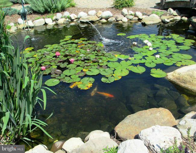 86 Swaggers Point Road Solomons, MD 20688 - Photo 4 of 13 Pond in park