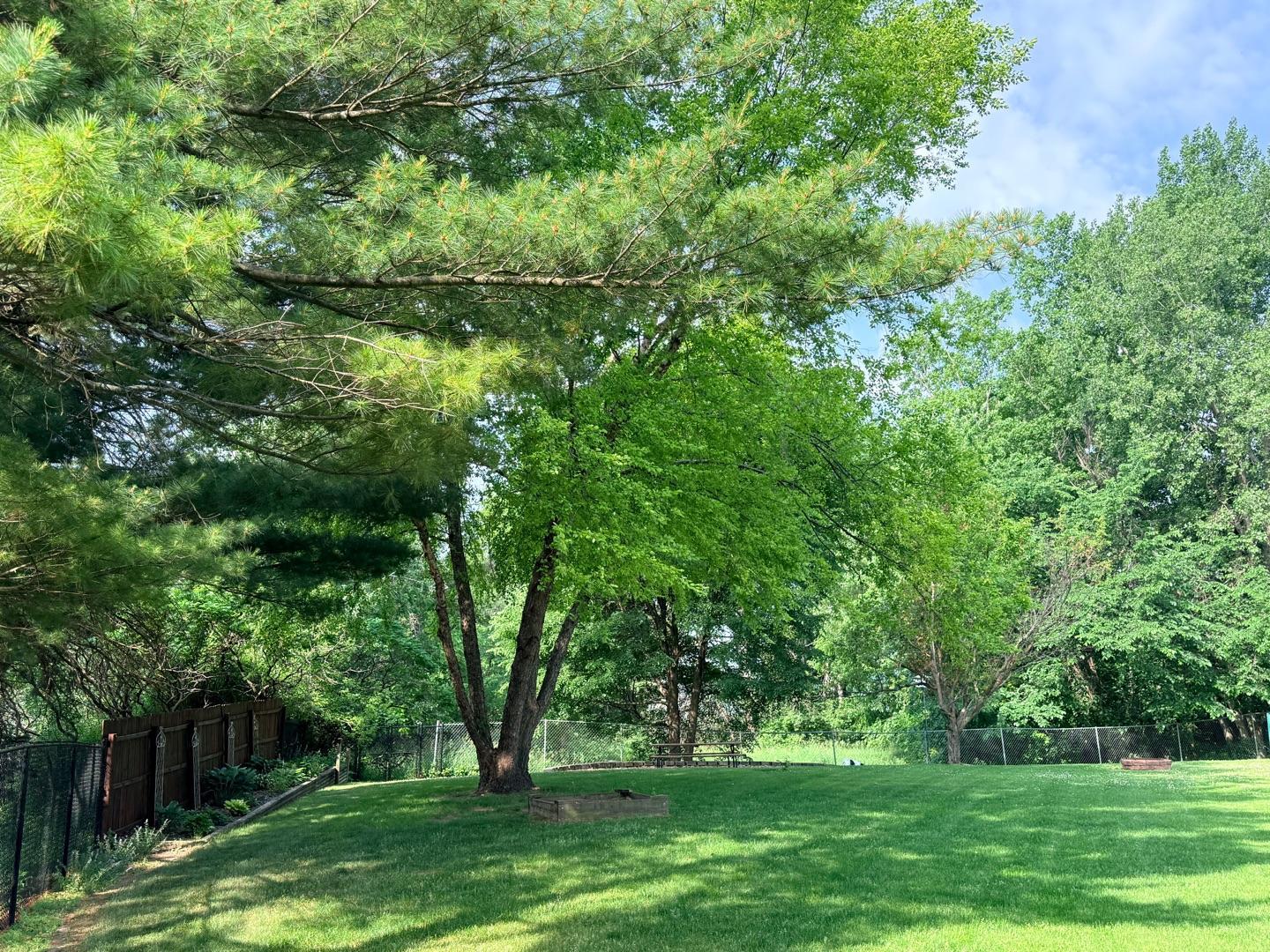 1800 13th Avenue Northeast Rochester, MN 55906 - Photo 12 of 35