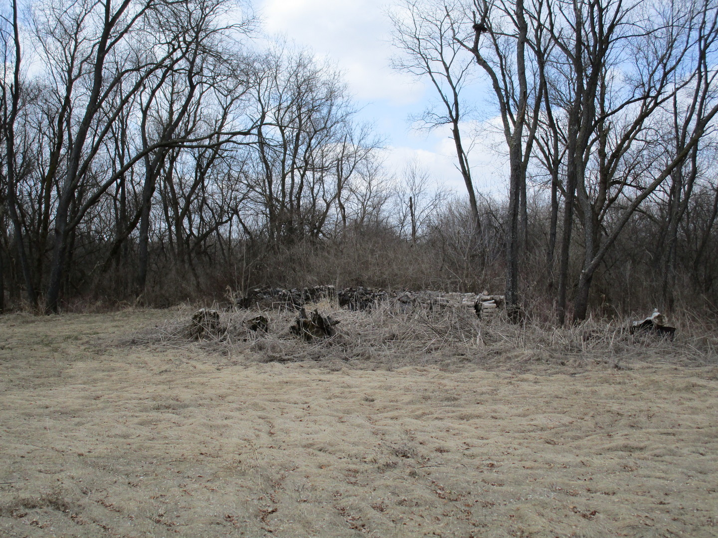 6909 Schultz Road Harvard, IL 60033 - Photo 5 of 19 a view of outdoor space with trees