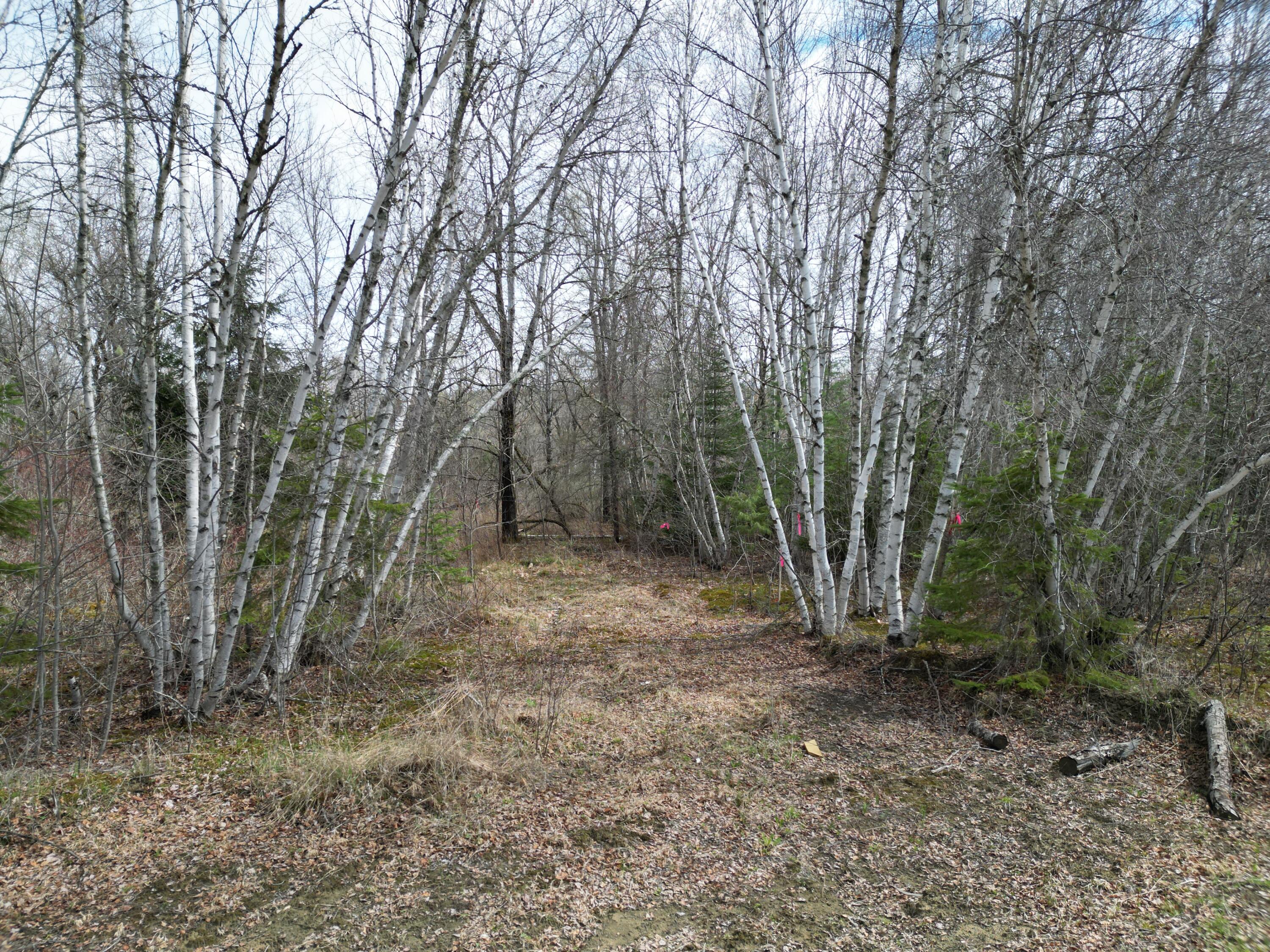 Lot 46 Merriman Rd Island Falls Island Falls, ME 04747 - Photo 9 of 16 DJI_0310
