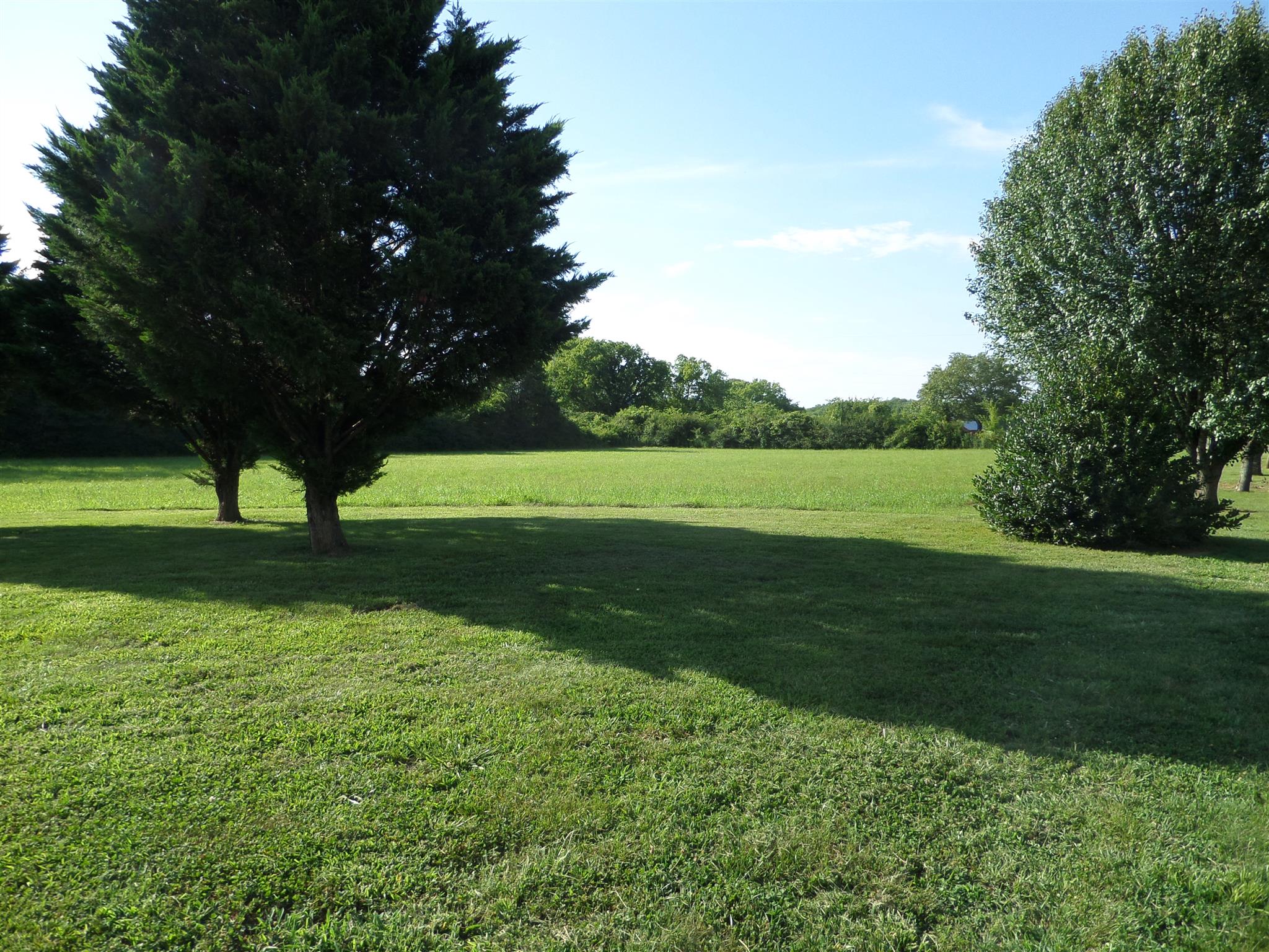 855 Cut Off Road Pulaski, TN 38478 - Photo 25 of 26 a view of field with trees in the background