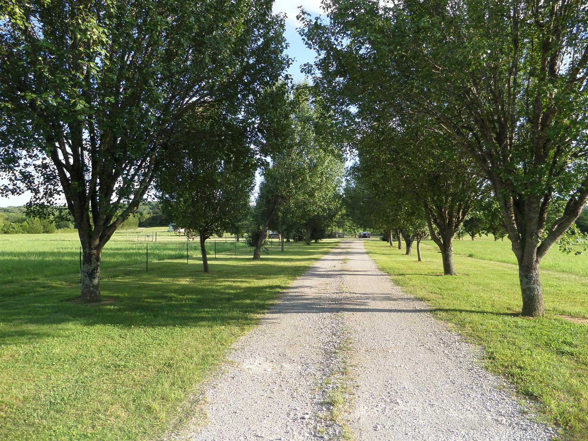 855 Cut Off Road Pulaski, TN 38478 - Photo 4 of 26