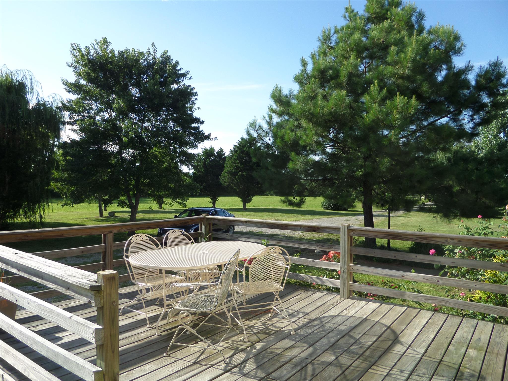 855 Cut Off Road Pulaski, TN 38478 - Photo 6 of 26 a view of a swimming pool with a patio and a yard