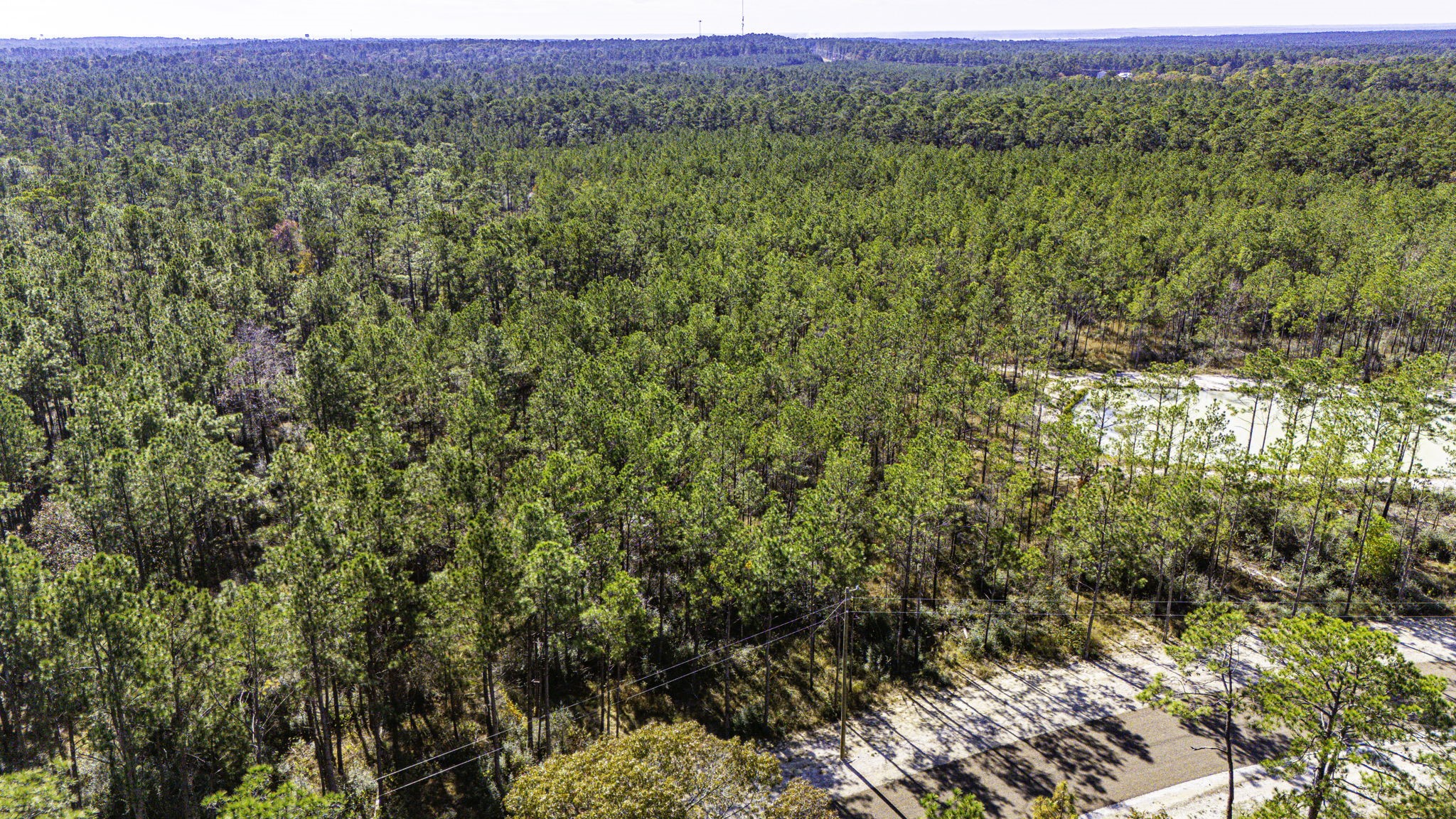 28 King Ranch Road South Onalaska, TX 77360 - Photo 11 of 12 a view of a field