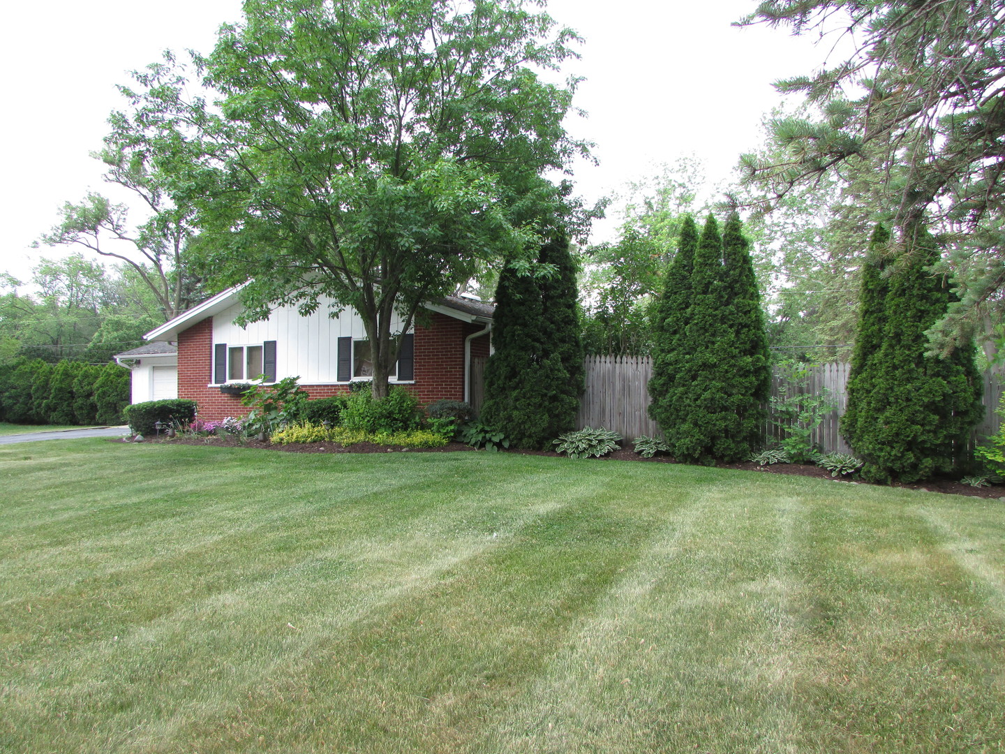 21W255 Canary Road Lombard, IL 60148 - Photo 2 of 32 a front view of house with yard and trees