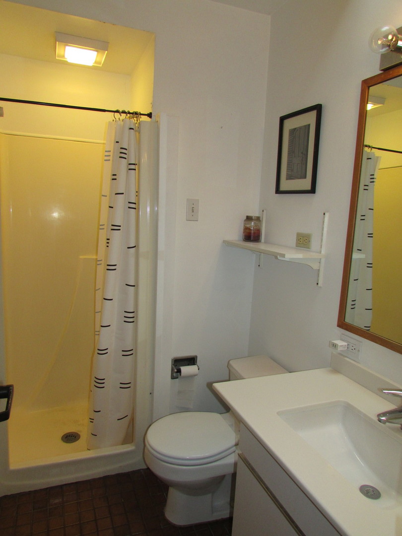 21W255 Canary Road Lombard, IL 60148 - Photo 23 of 32 a bathroom with a sink toilet and shower