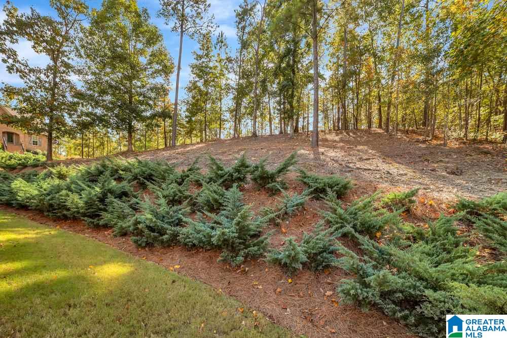 600 Ridge View Trail Pelham, AL 35124 - Photo 32 of 40