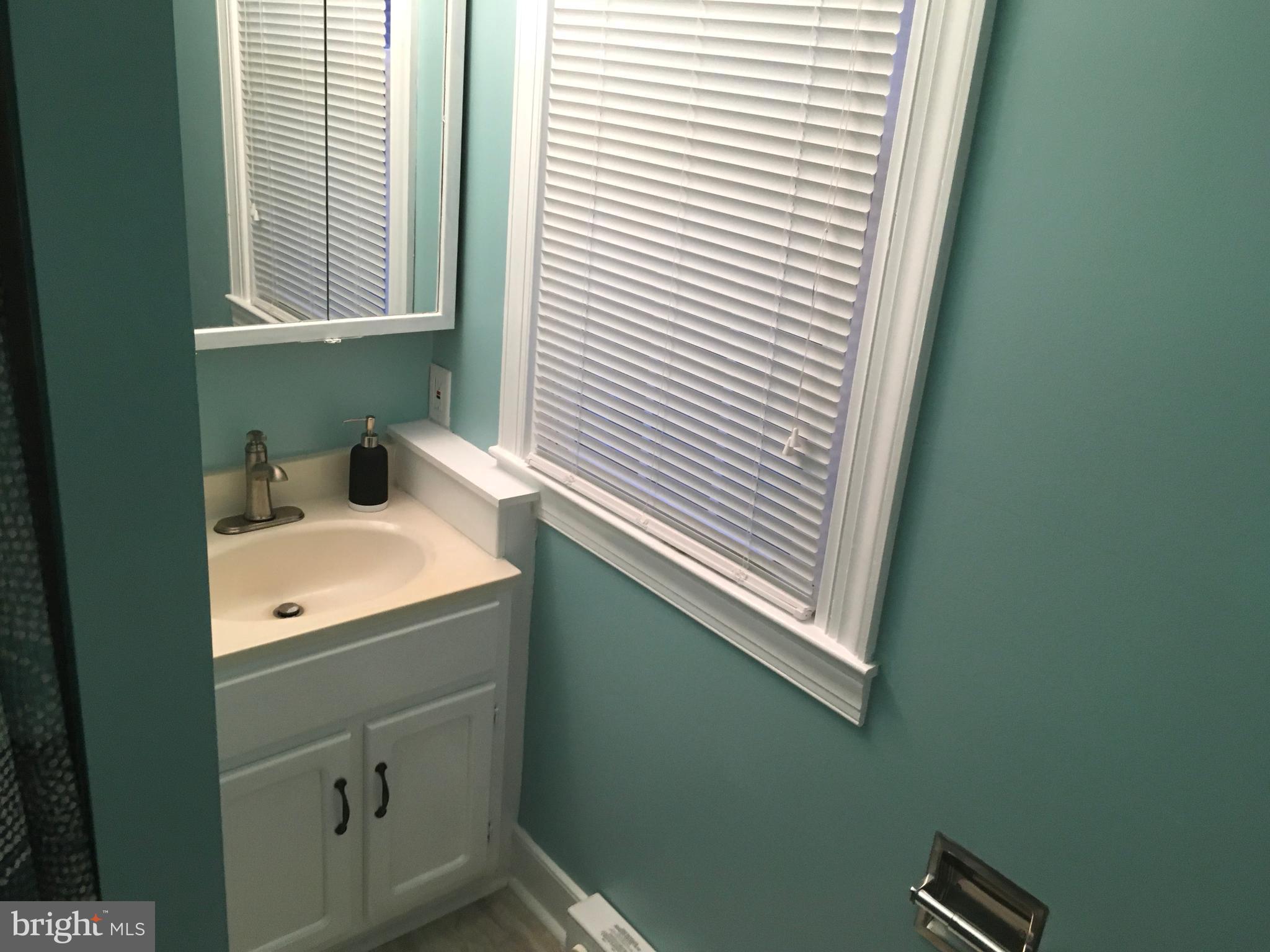 309 Broad Street Crumpton, MD 21628 - Photo 13 of 21 Lower Level Bath