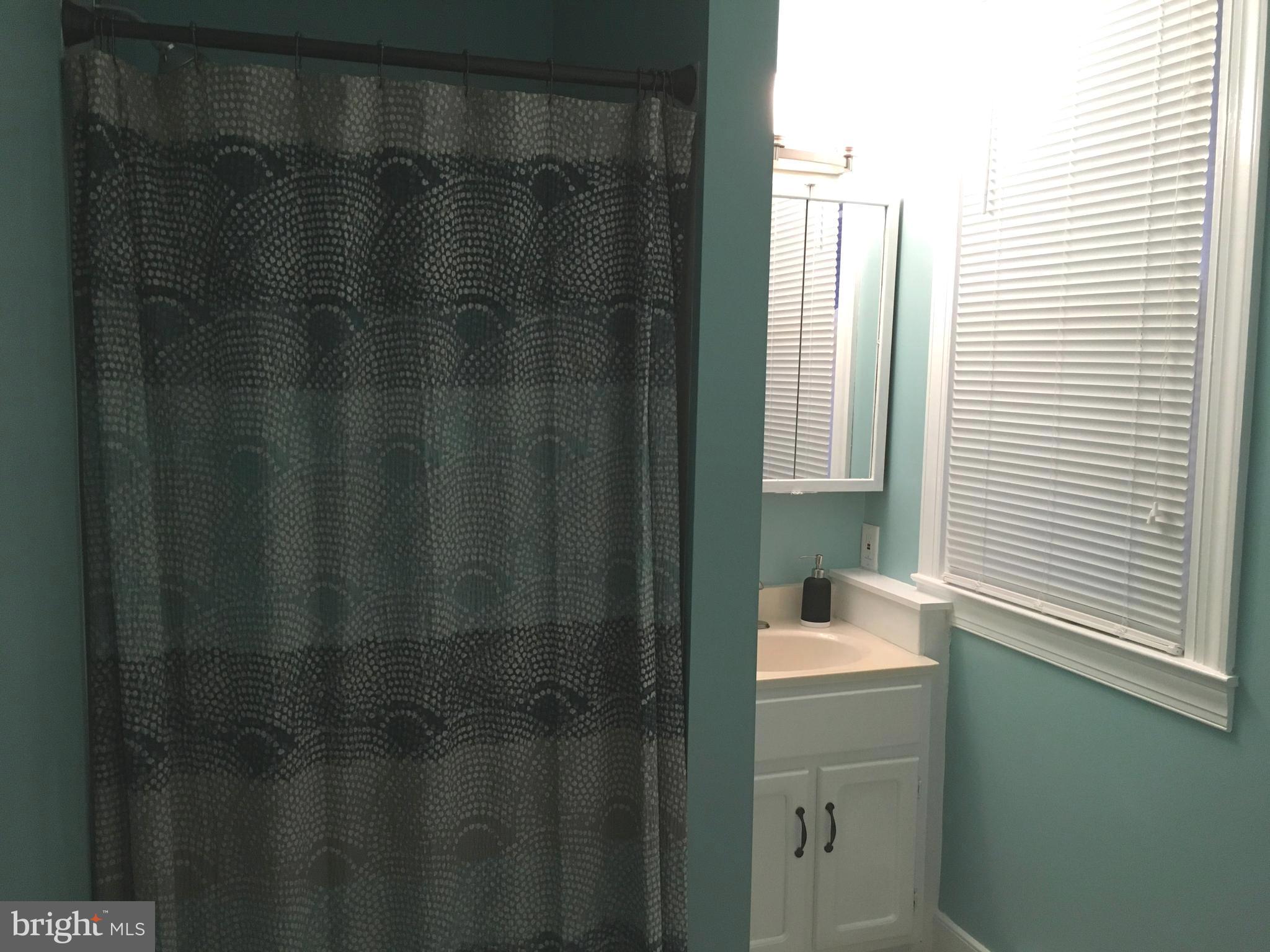 309 Broad Street Crumpton, MD 21628 - Photo 14 of 21 Lower Level Bath