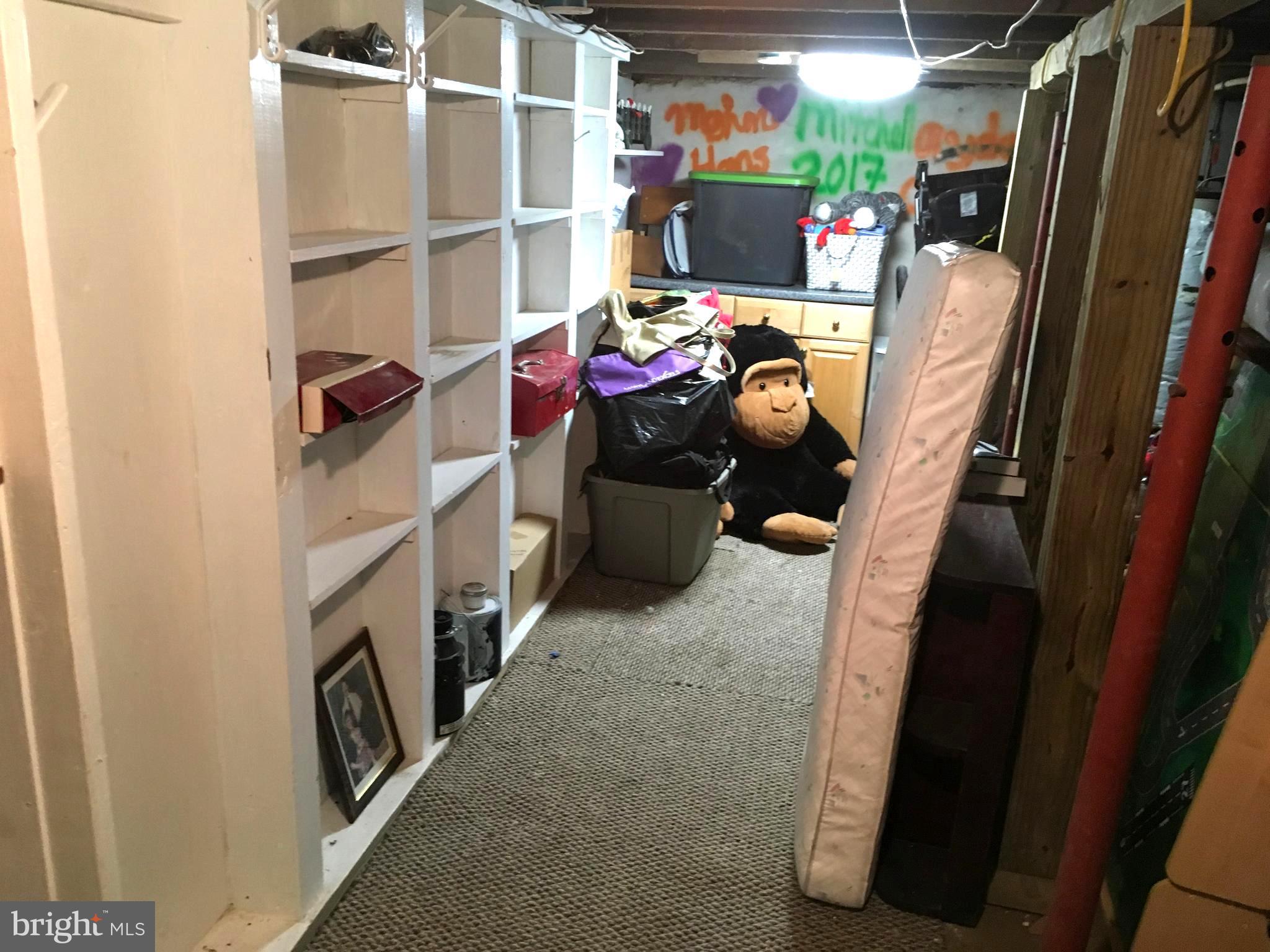 309 Broad Street Crumpton, MD 21628 - Photo 21 of 21 Basement Storage