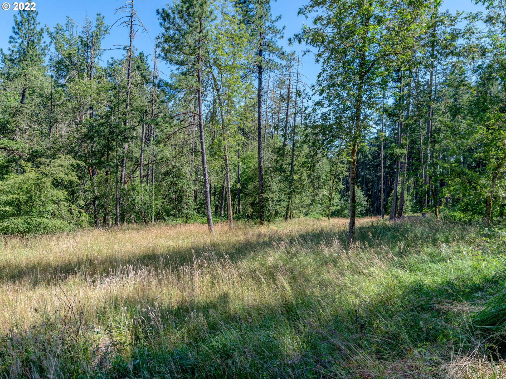0 Fox Hollow Road, Unit LOT1 Eugene, OR 97405 - Photo 1 of 23 Gallery Image 1