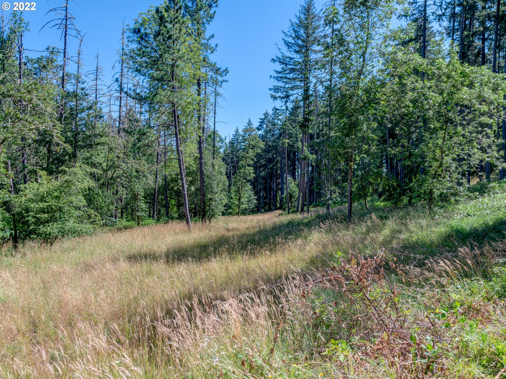 0 Fox Hollow Road, Unit LOT1 Eugene, OR 97405 - Photo 3 of 23 Gallery Image 3