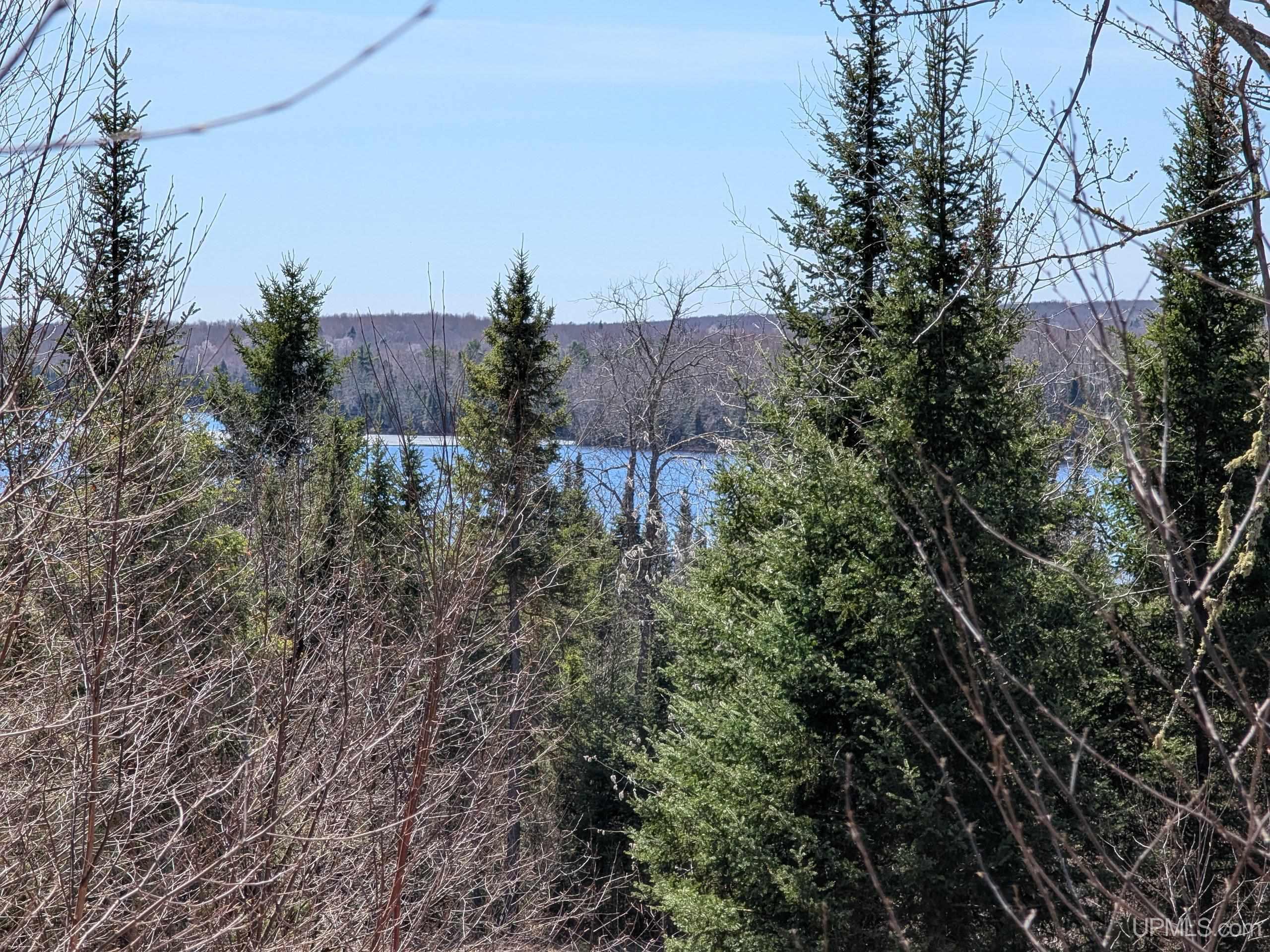 8-acres East Cable Lake Road Crystal Falls, MI 49920 - Photo 5 of 20