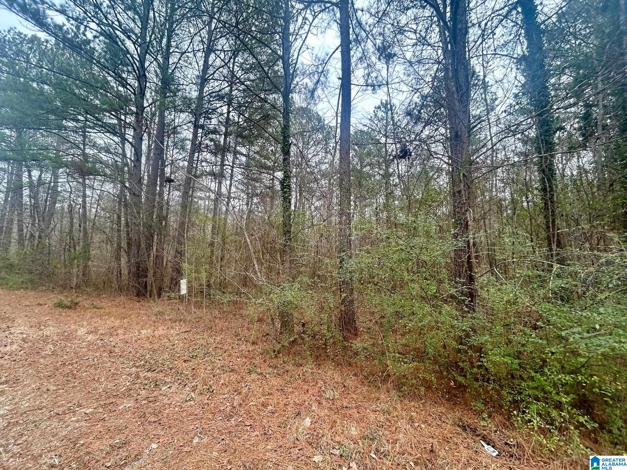 Sequoyah Road, Unit TRACT 5 Pell City, AL 35128 - Photo 2 of 5