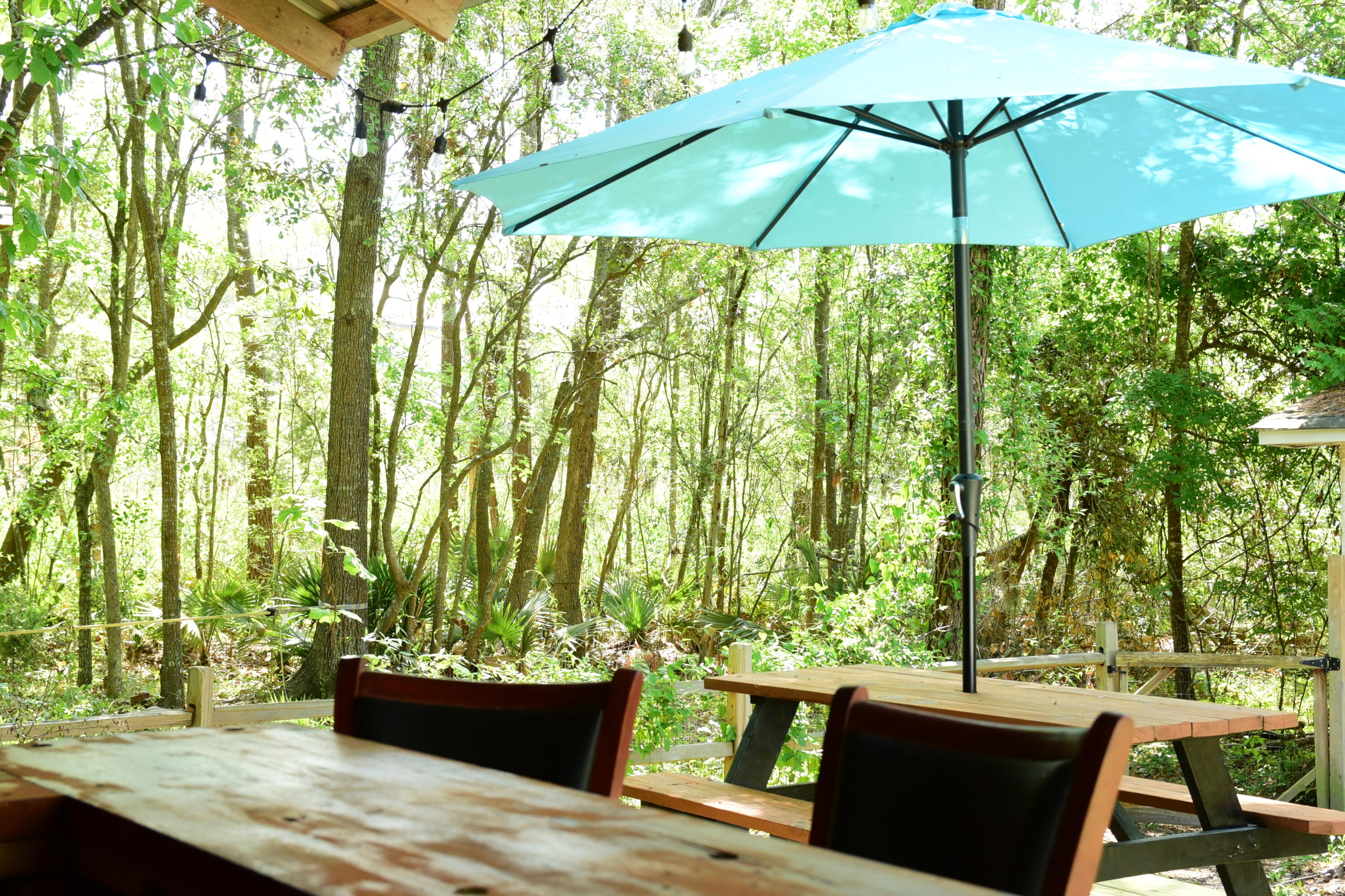 816 Savage Road Charleston, SC 29414 - Photo 23 of 26 DSC_4440