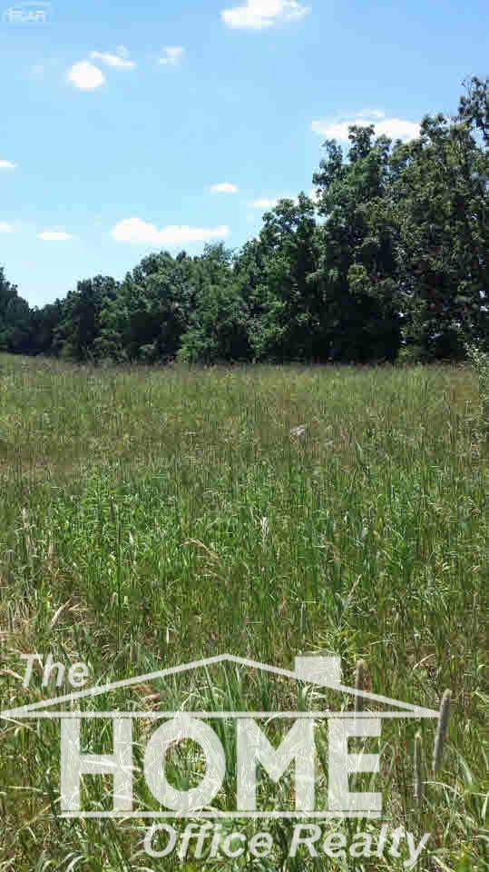 0 Pratt Road Laingsburg, MI 48879 - Photo 3 of 4