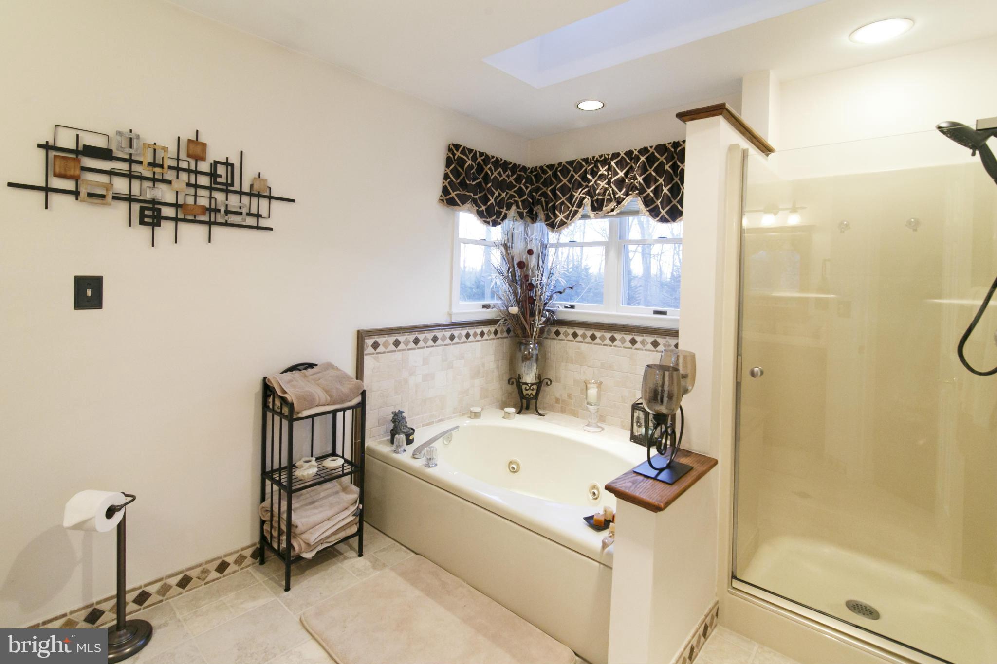 17508 Country View Way Mount Airy, MD 21771 - Photo 13 of 30 Bath (Master)