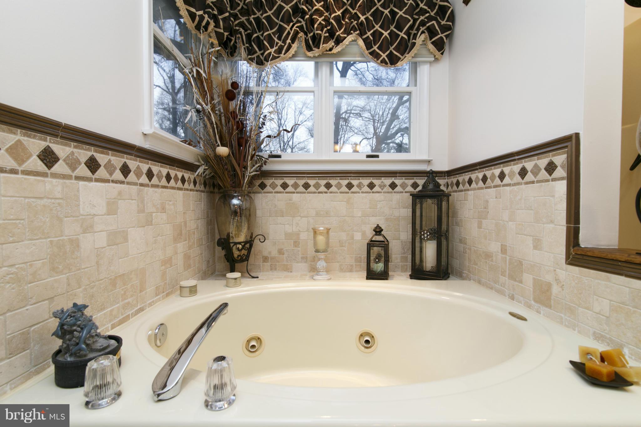 17508 Country View Way Mount Airy, MD 21771 - Photo 15 of 30 Bath (Master)