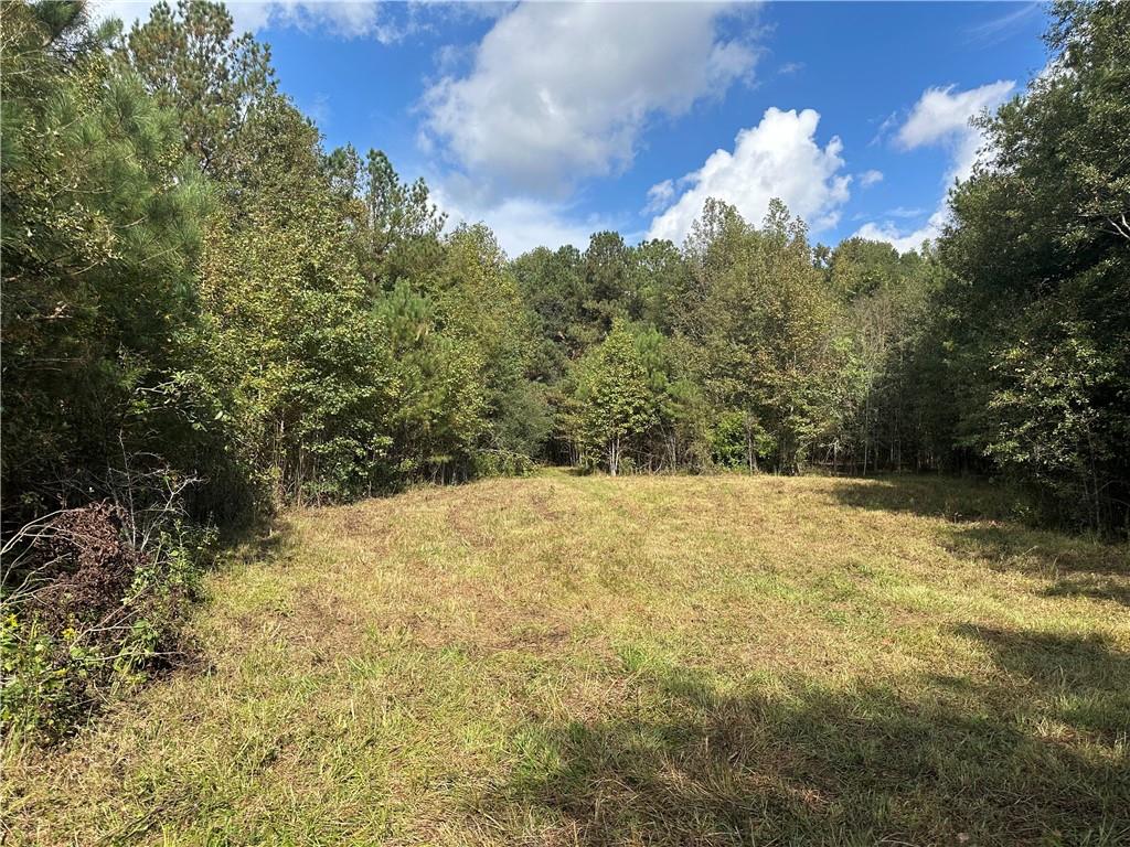 0 Unity Church Road Maysville, GA 30558 - Photo 5 of 10 a view of a yard with trees