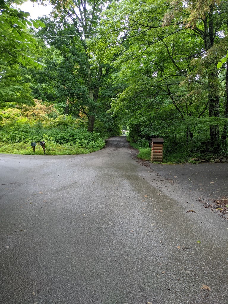763 Blowing Cave Road Sevierville, TN 37876 - Photo 2 of 8